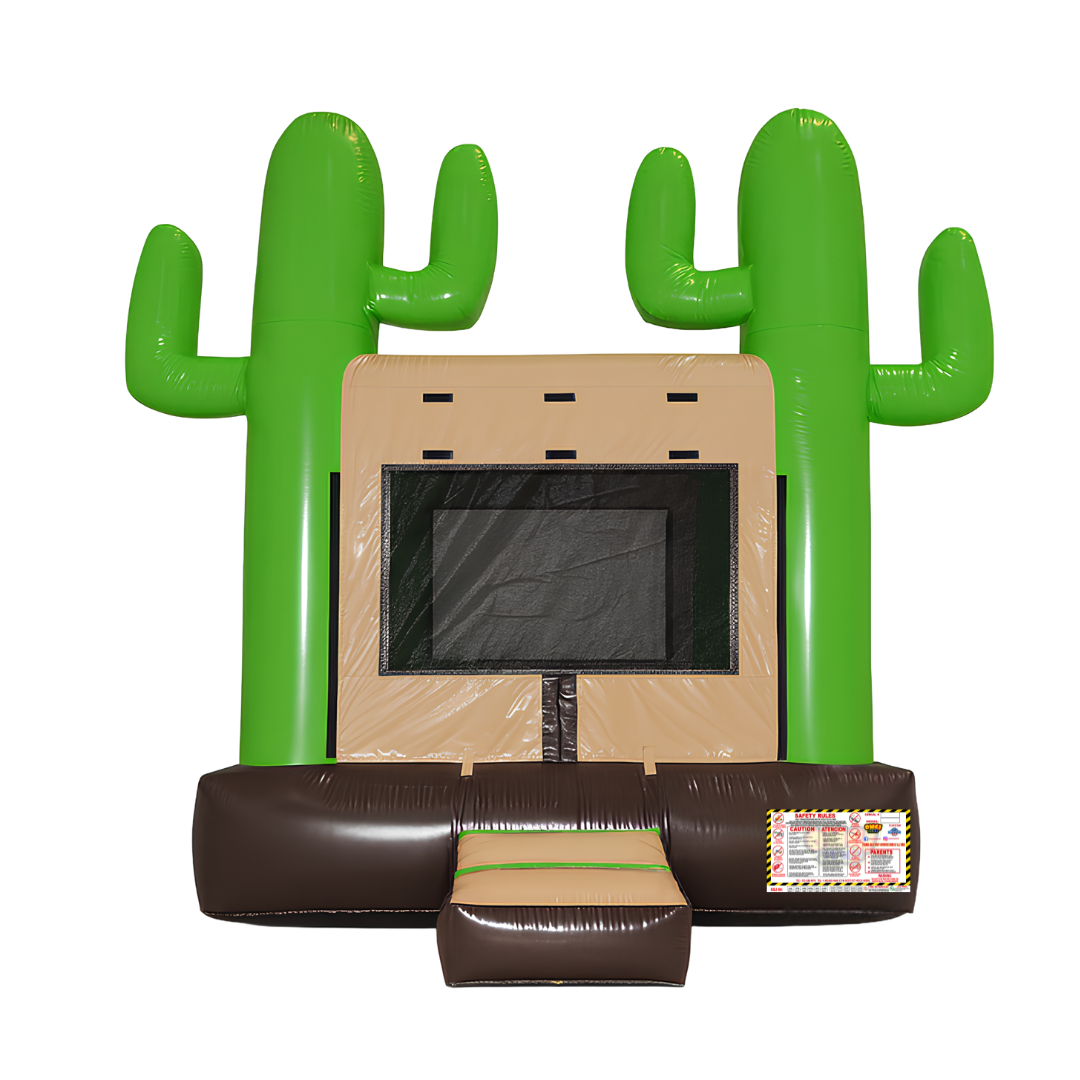 Señor Cactus 13x13