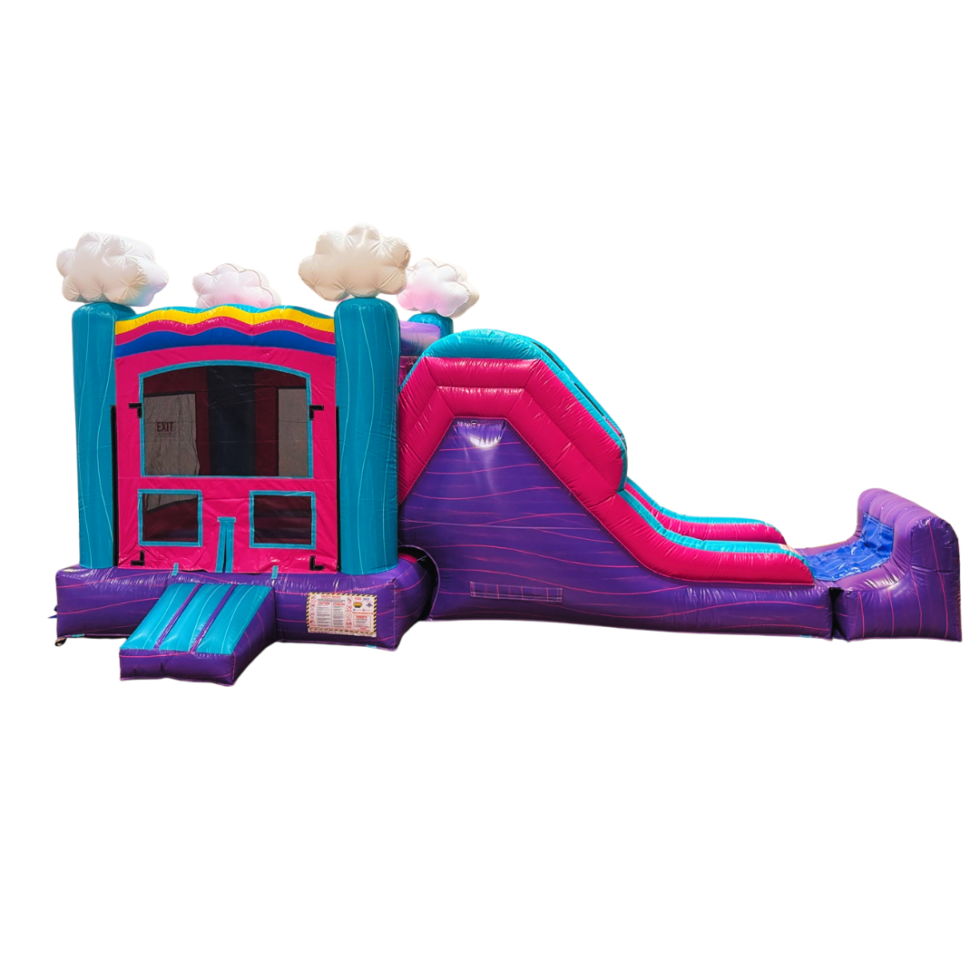 Wonderland Backyard Combo